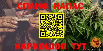 прущие грибы Бугуруслан