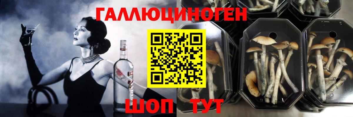 Галлюциногенные грибы ЛСД  Вход с VPN  Балашов 